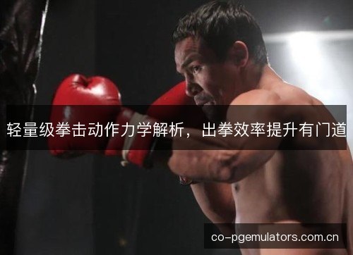 轻量级拳击动作力学解析，出拳效率提升有门道
